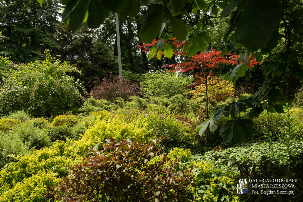 Zrewitalizowany park na os. Miłocin